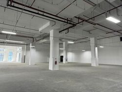Maplewoods (D21), Warehouse #461402621